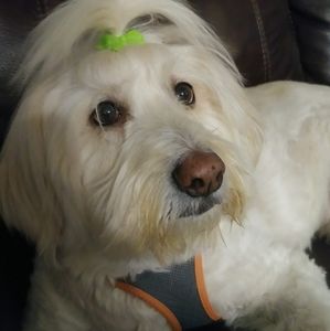 Meet your Posher, Cheryl